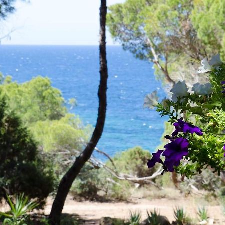 Villa Buonumore Porto Pino Εξωτερικό φωτογραφία