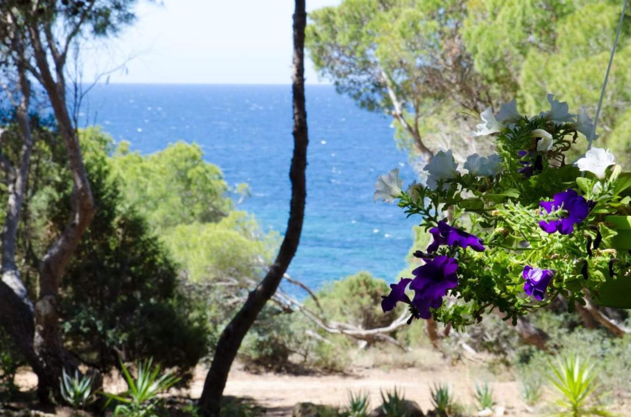 Villa Buonumore Porto Pino Εξωτερικό φωτογραφία