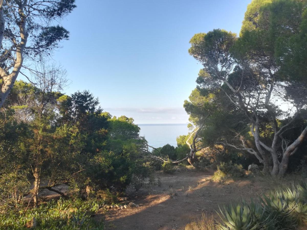 Villa Buonumore Porto Pino Εξωτερικό φωτογραφία