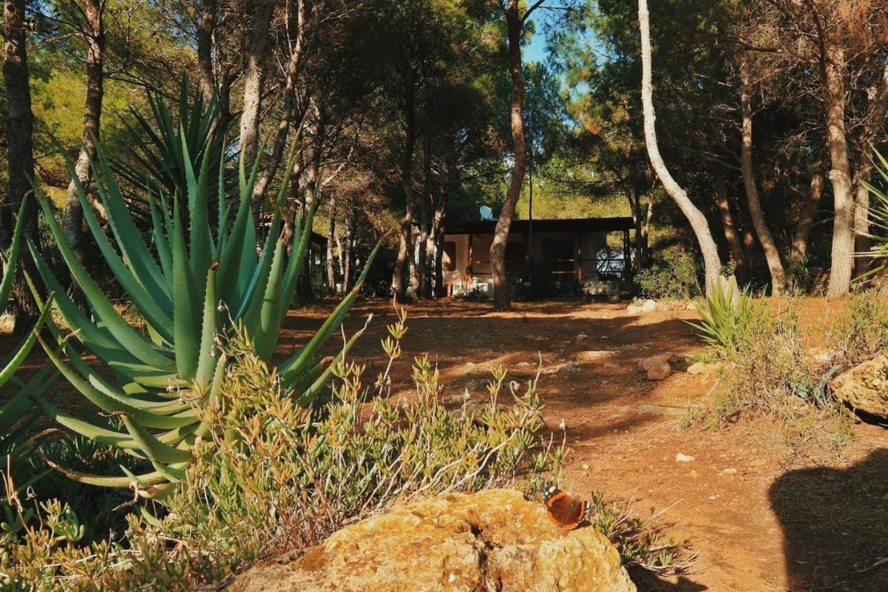 Villa Buonumore Porto Pino Εξωτερικό φωτογραφία